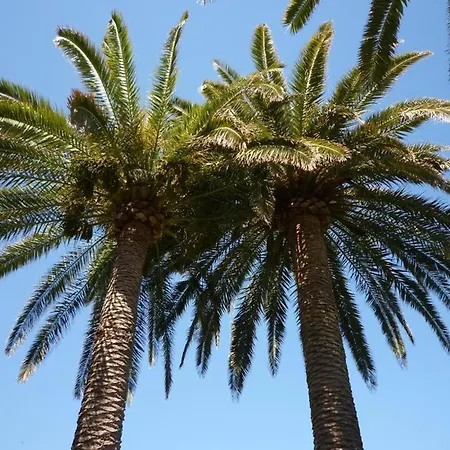 Parque Mar Cala D'or 2 Bedrooms Apartament *